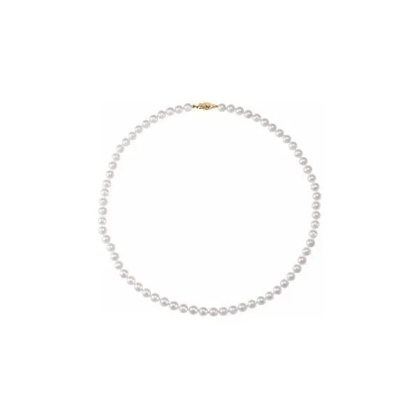 Strand Jon's Fine Jewelry Cocoa Village, FL