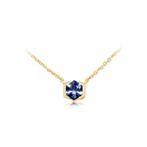 Parlé Yellow Gold Necklace with Hexagonal Montana Blue Sapphire in Geometric Half Bezel J. Schrecker Jewelry Hopkinsville, KY