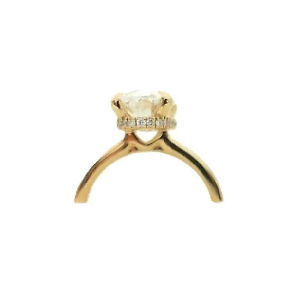 14 Karat Yellow Gold Lab Diamond Engagement Ring Image 2 J. Thomas Jewelers Rochester Hills, MI