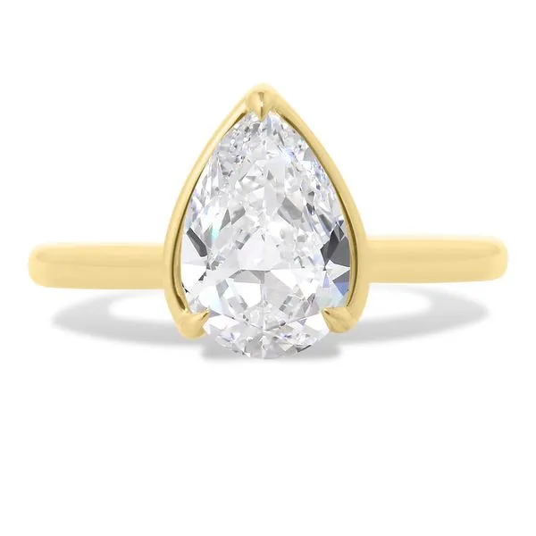 14 Karat Yellow Gold Lab Created Diamond Engagement Ring Image 3 J. Thomas Jewelers Rochester Hills, MI