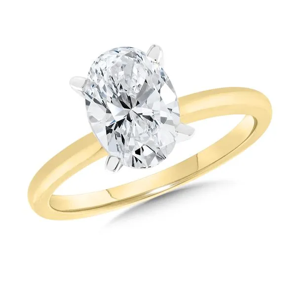 14 Karat Yellow Gold Lab Created Diamond Engagement Ring J. Thomas Jewelers Rochester Hills, MI
