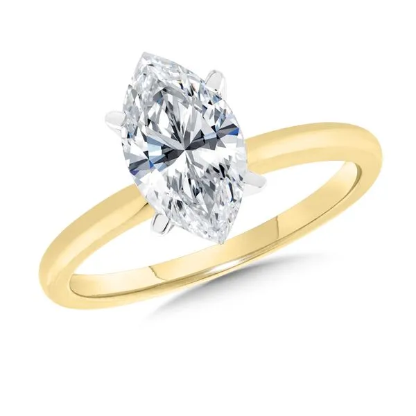 14 Karat Yellow Gold Lab Created Diamond Engagement Ring J. Thomas Jewelers Rochester Hills, MI
