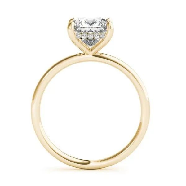 Hidden Halo Solitaire J. Thomas Jewelers Rochester Hills, MI