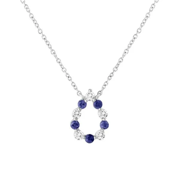 14 Karat White Diamond And Sapphire Pendant With Chain J. Thomas Jewelers Rochester Hills, MI