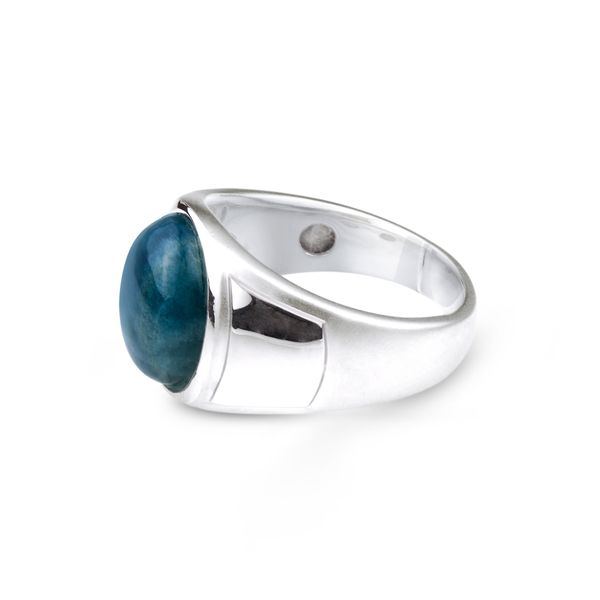 Blue Apatite  Ring Image 2 J. Thomas Jewelers Rochester Hills, MI