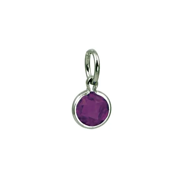 February Birthstone Charm J. Thomas Jewelers Rochester Hills, MI