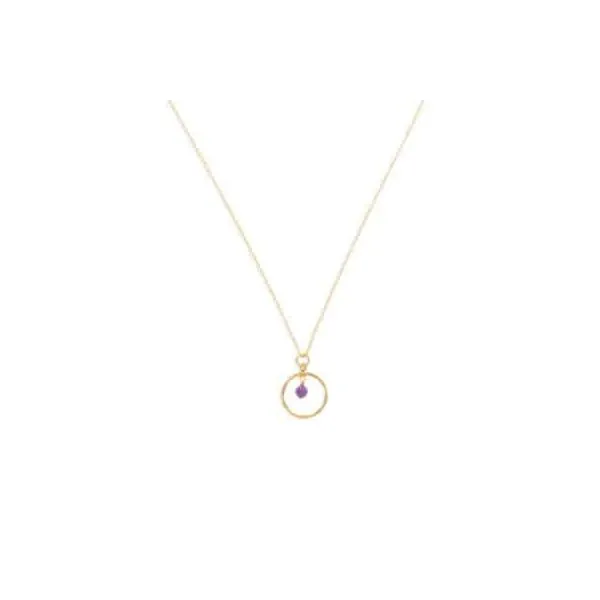 Ruby Circle Pendant J. Thomas Jewelers Rochester Hills, MI