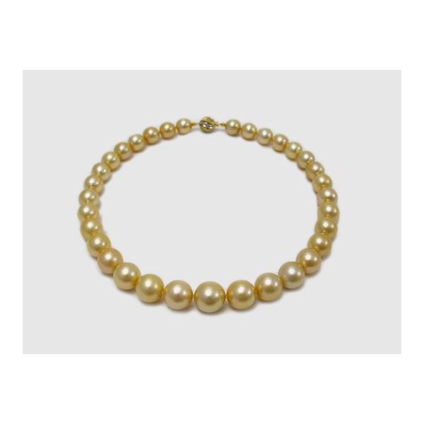 Golden South Sea Pearls J. Thomas Jewelers Rochester Hills, MI