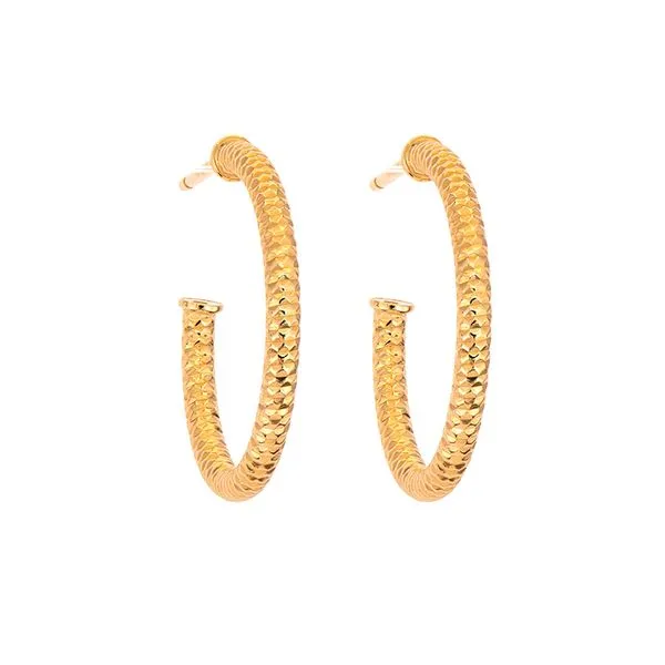 Trendy Diamond Cut Sterling Silver Gold Plated Hoops J. Thomas Jewelers Rochester Hills, MI