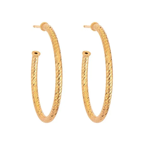 Gold Plated Sparkle Hoop Earrings J. Thomas Jewelers Rochester Hills, MI