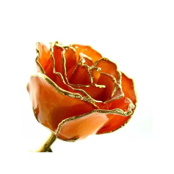 24K Gold Everlasting Rose - Apricot J. Thomas Jewelers Rochester Hills, MI
