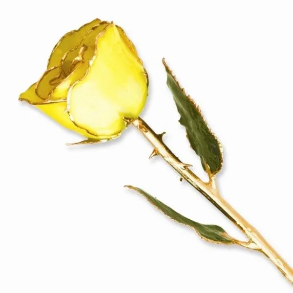 Yellow Rose J. Thomas Jewelers Rochester Hills, MI