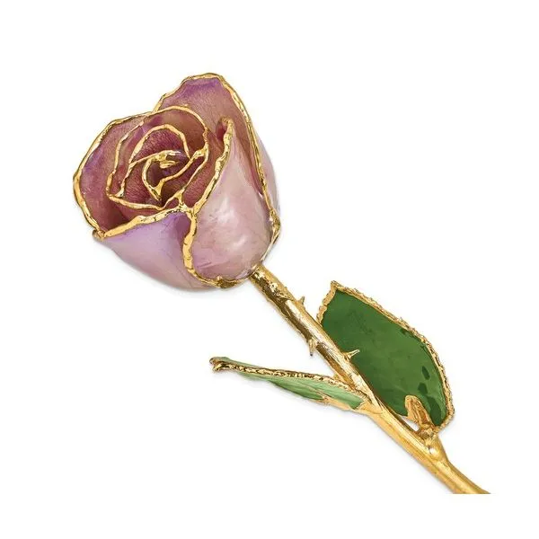 24K Gold And Lacquer Dipped Lavender Rose J. Thomas Jewelers Rochester Hills, MI