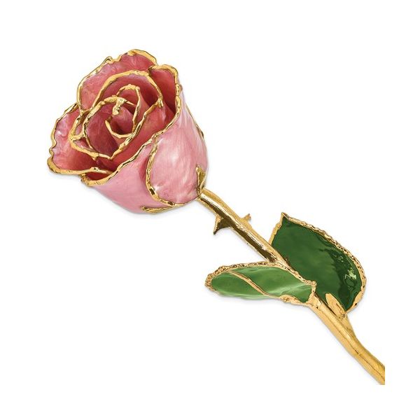 24K Gold And Lacquer Dipped Dusty Pink Rose J. Thomas Jewelers Rochester Hills, MI