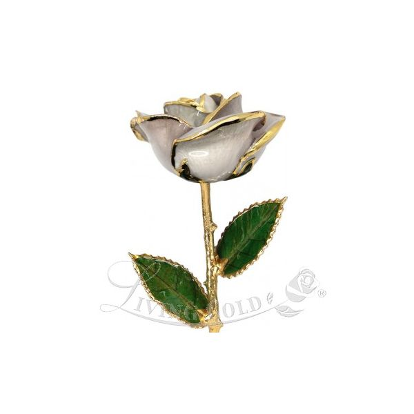 Pearl White Rose 24 Karat Gold J. Thomas Jewelers Rochester Hills, MI