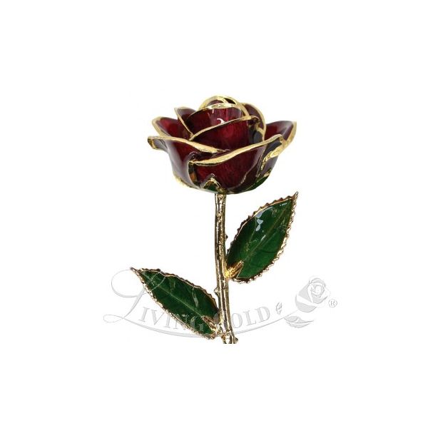Burgundy Rose 24 Karat Gold J. Thomas Jewelers Rochester Hills, MI