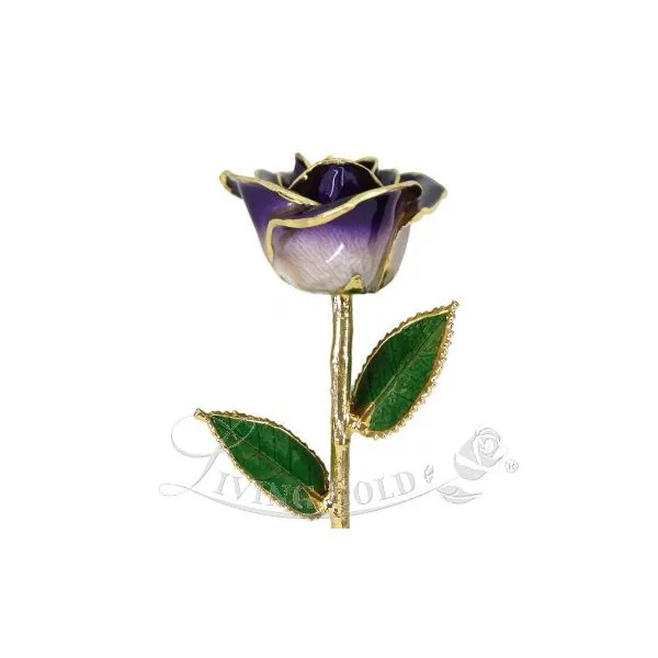 Two-Tone PurpleRose 24 Karat Gold J. Thomas Jewelers Rochester Hills, MI