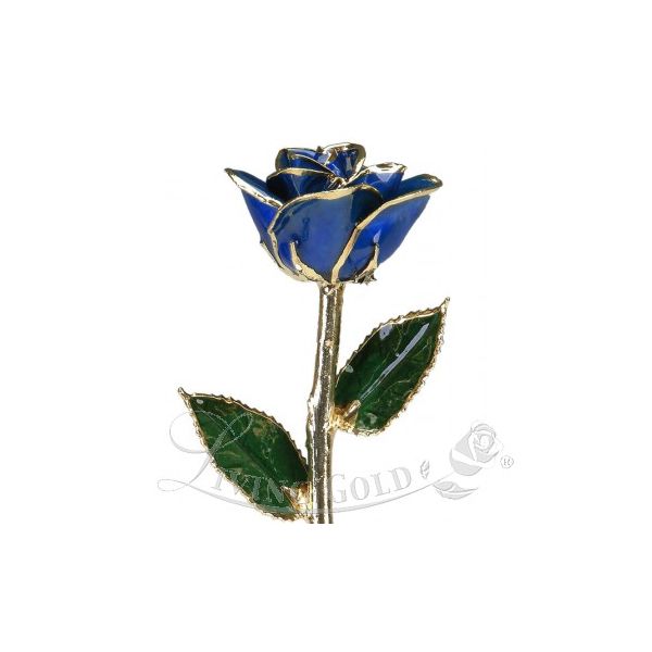Dark Blue Rose 24 Karat Gold J. Thomas Jewelers Rochester Hills, MI