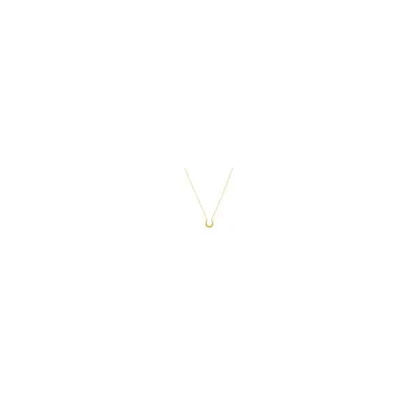 Necklace with Horseshoe Centerpiece JWR Jewelers Athens, GA