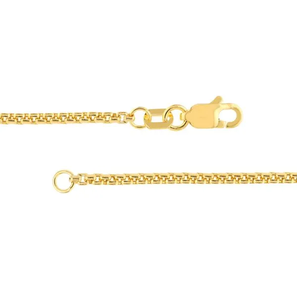 Yellow Gold Round Box Chain JWR Jewelers Athens, GA