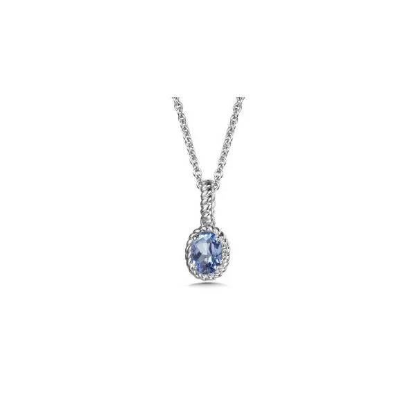 Sterling Necklace with an Oval Created Sapphire Pendant JWR Jewelers Athens, GA