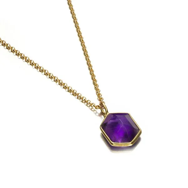 Gold Plated Sterling Silver Eighteen Inch Necklace with a Hexagonal Amethyst Pendant. JWR Jewelers Athens, GA