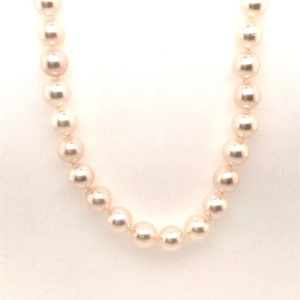 14K Yellow Gold Cultured Akoya Pearl Necklace with Pearls that measure 6.0 to 6.5 millimeters in diameter and is Eighteen Inches Long. JWR Jewelers Athens, GA