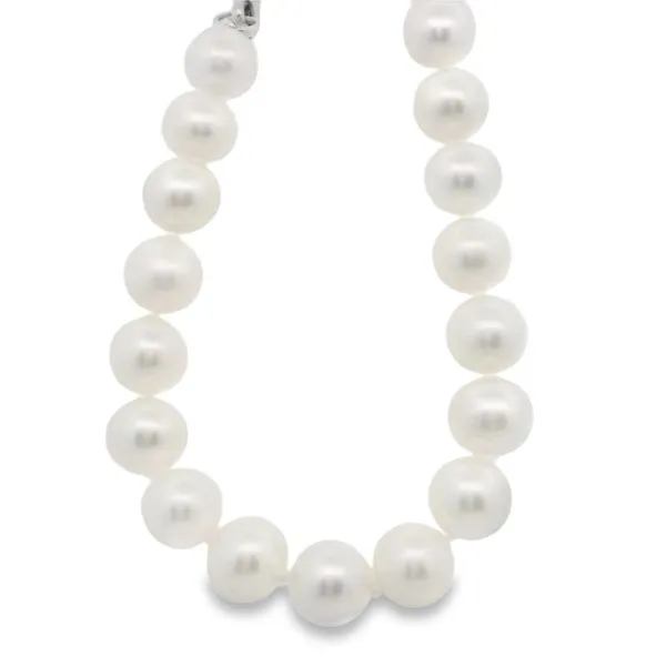 Pearl Bracelet Kevin's Fine Jewelry Totowa, NJ