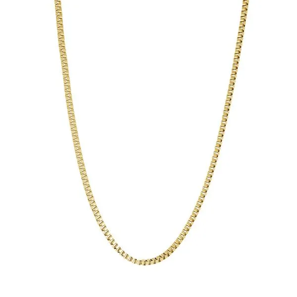 Gold IP Stainless Steel 24
