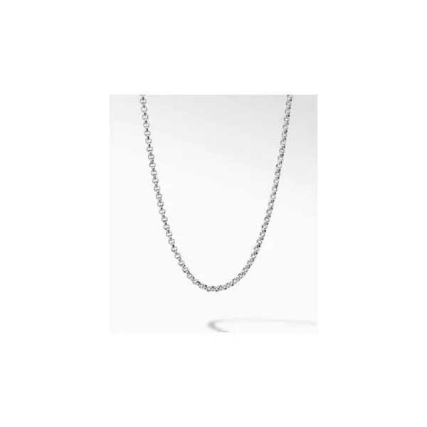 Silver Chain or Necklace Kevin's Fine Jewelry Totowa, NJ