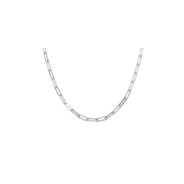 Silver Chain or Necklace