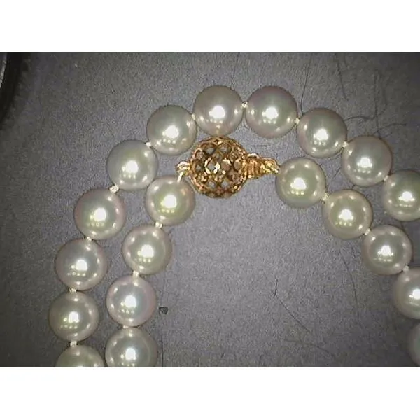 14K Rose Gold White Akoya Pearl Strand Kirk & Company Jewelers, Inc Milford, OH