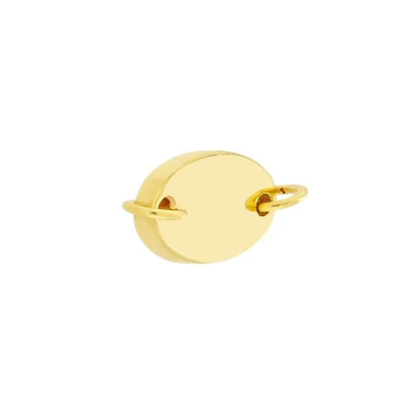 Oval Disc Link Charm