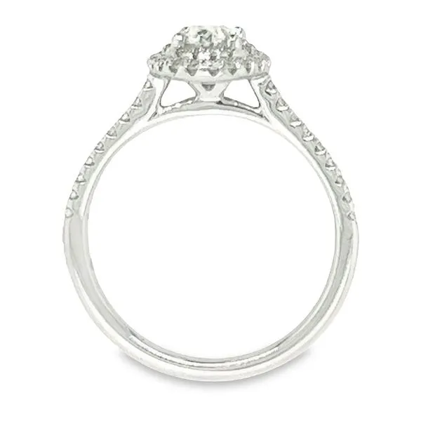 14K White Gold Double Halo Diamond Ring Image 2 Koerbers Fine Jewelry Inc New Albany, IN