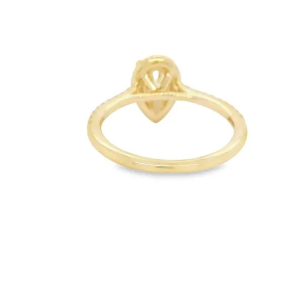 14K Yellow Gold Pear Diamond Halo Engagement Ring Image 3 Koerbers Fine Jewelry Inc New Albany, IN