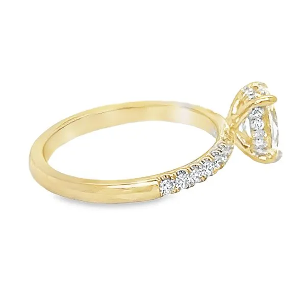 14K Yellow Gold Hidden Halo Single Row Engagement Ring Image 2 Koerbers Fine Jewelry Inc New Albany, IN