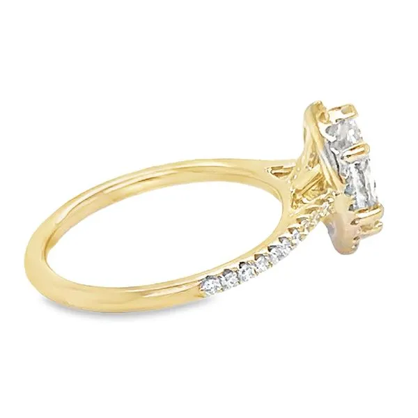14K Yellow Gold Marquise Halo Single Row Engagement Ring Image 4 Koerbers Fine Jewelry Inc New Albany, IN