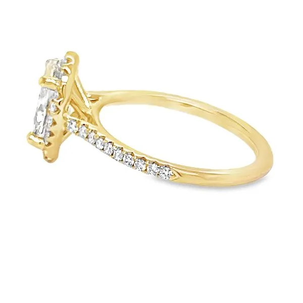 14K Yellow Gold Halo Single Row Engagement Ring Image 2 Koerbers Fine Jewelry Inc New Albany, IN