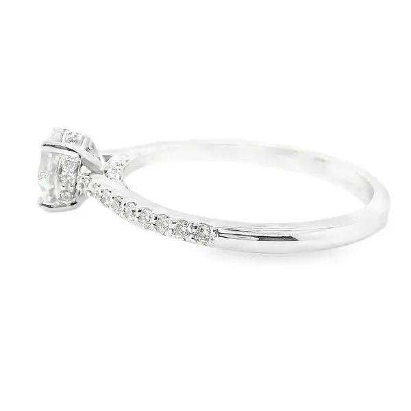 18K White Gold Hidden Halo Engagement Ring Image 3 Koerbers Fine Jewelry Inc New Albany, IN