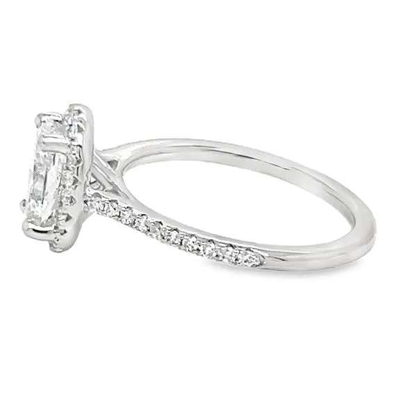 14K White Gold Halo Single Row Engagement Ring Image 2 Koerbers Fine Jewelry Inc New Albany, IN