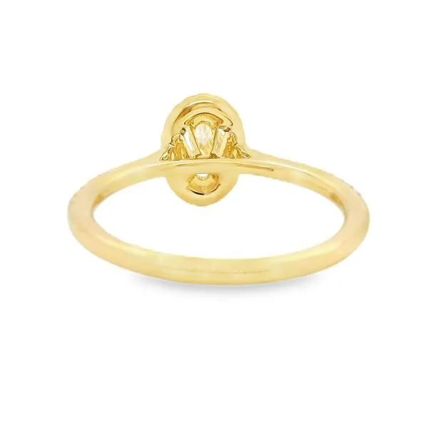14K Yellow Gold Halo Single Row Engagement Ring Image 3 Koerbers Fine Jewelry Inc New Albany, IN