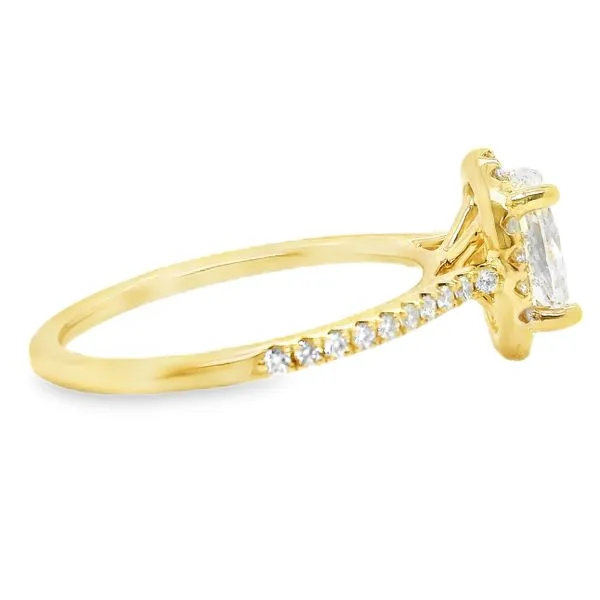 14K Yellow Gold Halo Single Row Engagement Ring Image 3 Koerbers Fine Jewelry Inc New Albany, IN