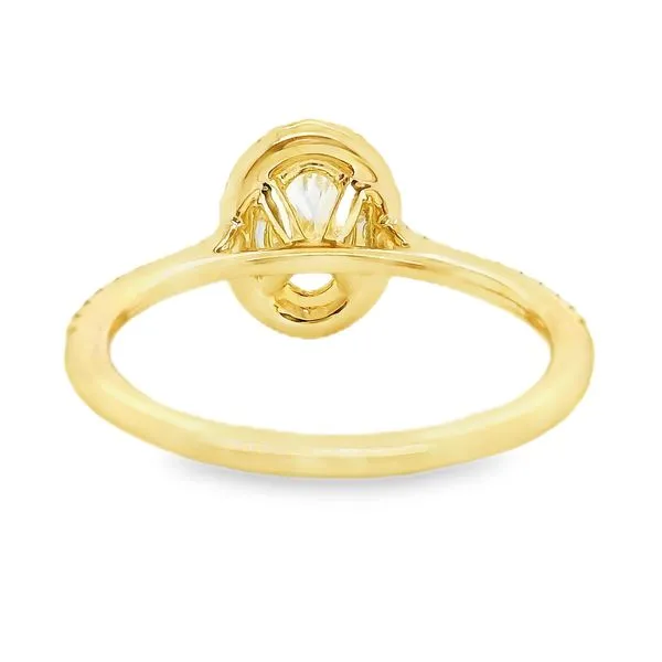 14K Yellow Gold Halo Single Row Engagement Ring Image 4 Koerbers Fine Jewelry Inc New Albany, IN