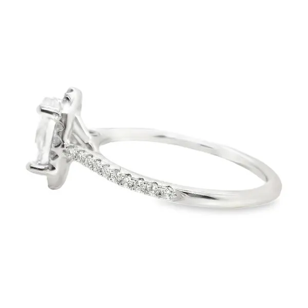 14K White Gold Halo Single Row Engagement Ring Image 2 Koerbers Fine Jewelry Inc New Albany, IN