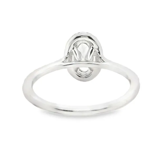 14K White Gold Halo Single Row Engagement Ring Image 3 Koerbers Fine Jewelry Inc New Albany, IN