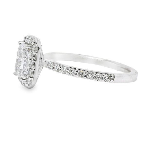 18K White Gold Halo Single Row Engagement Ring Image 2 Koerbers Fine Jewelry Inc New Albany, IN
