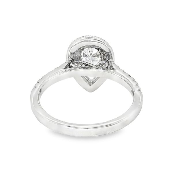 14K White Gold Double Halo Single Row Engagement Ring Image 3 Koerbers Fine Jewelry Inc New Albany, IN