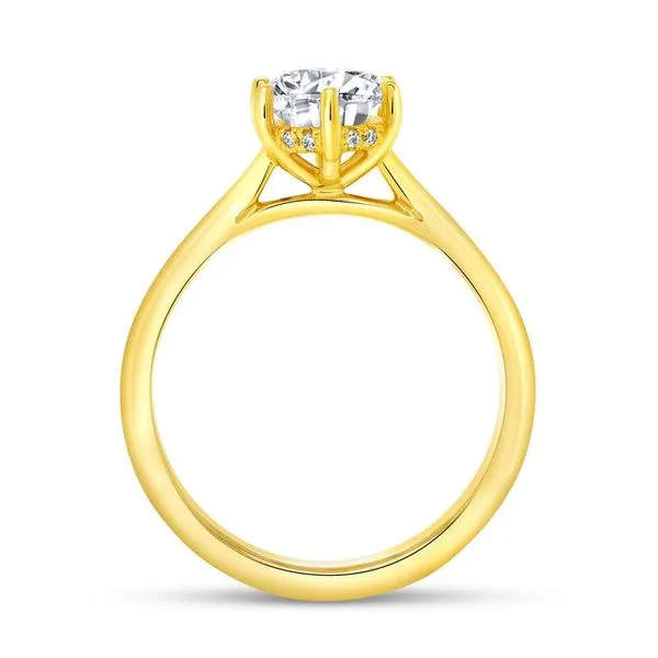 14K White Gold Timeless Round Diamond Engagement Ring Image 3 Koerbers Fine Jewelry Inc New Albany, IN