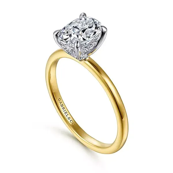 14K White and Yellow Gold Hidden Halo Oval Diamond Engagement Ring Image 3 Koerbers Fine Jewelry Inc New Albany, IN