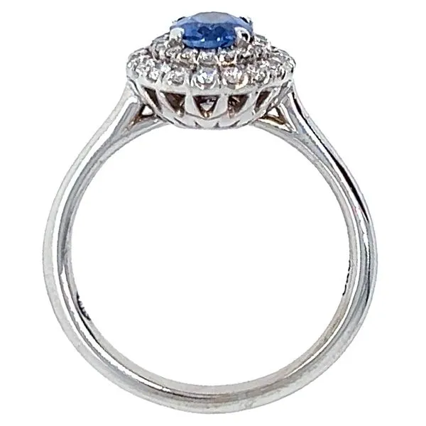 18K White Gold Sapphire and Diamond Fashion Ring Image 2 Koerbers Fine Jewelry Inc New Albany, IN
